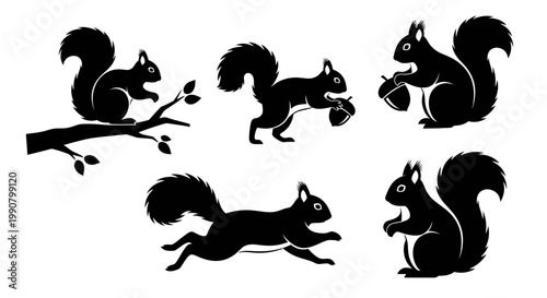 Set of black and white silhouettes featuring a vector illustration collection of funny domestic cats, a kitten, and a mammal horse for a nature animal design