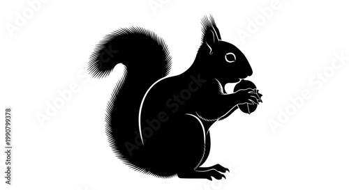 A cute small red squirrel with a fluffy tail sits on a forest tree branch eating a nut in the wild nature