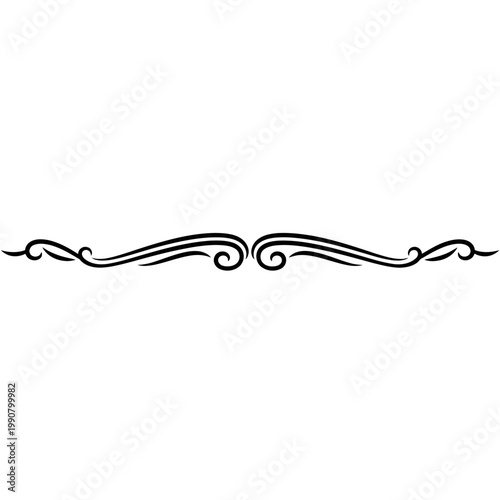 Elegant Decorative Flourish Divider Element