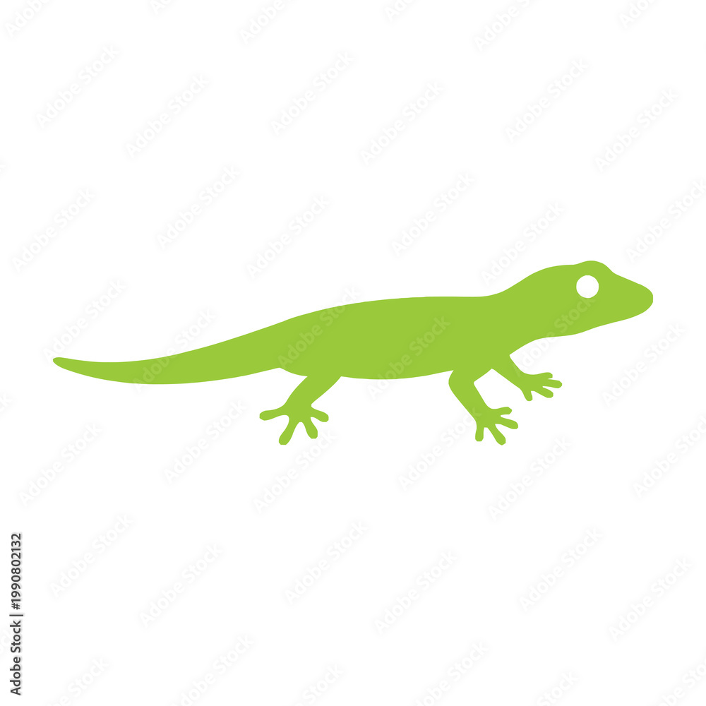 Fototapeta premium Lizard Silhouette Green Reptile Animal