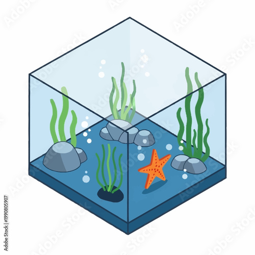 Isometric Aquarium Scene with Starfish and Seaweed.