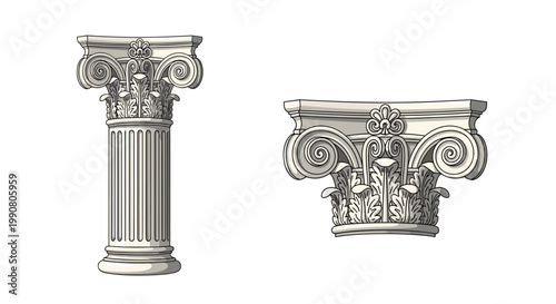 Two detailed illustrations of classical architectural column capitals of the ionic order for history, architecture, and design projects.