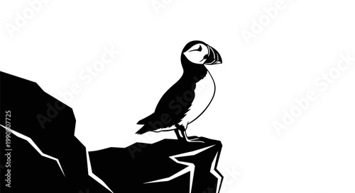 A puffin standing on a cliff.