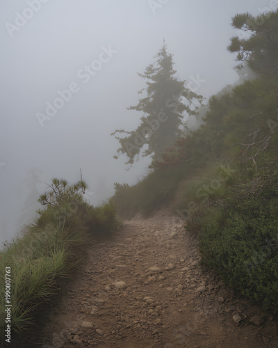 Foggy mountain trail with rocks and vegetation on the side