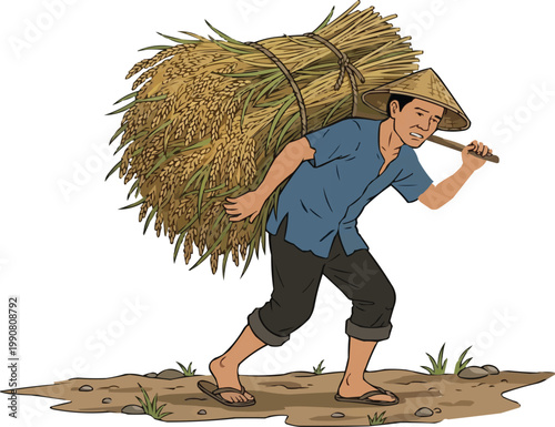 A farmer is struggling forward, carrying a huge sheaf of rice on his shoulders.