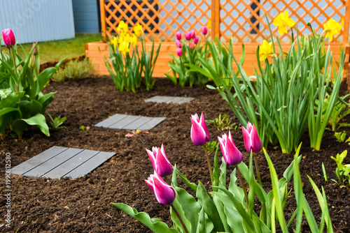 kleiner Garten mit Tulpen und Osterglocken