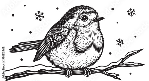 Winter bird, snowflakes, black and white illustration, vector sparrow, wildlife icon
