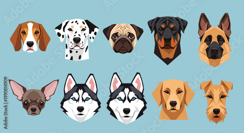 Collection of stylized dog breed heads including beagle dalmation pug rottweiler german shepherd chihuahua husky golden retriever and terrier.