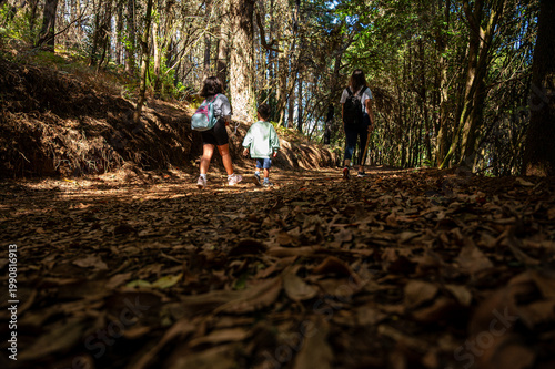 A family walking along a path with rucksacks. Three figures move along a leaf-strewn forest trail. Natural light casts shadows across the path and surrounding trees