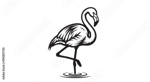 Flamingo vector, black and white illustration, bird icon, wildlife graphic