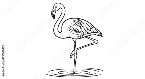 Flamingo, pink flamingo, bird icon, vector illustration, wildlife symbol