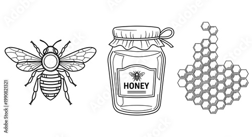 Honey Bee, Natural Honey Jar, and Honeycomb Pattern Vector Illustration Set. Outline Black and White Hand-Drawn Design Element.