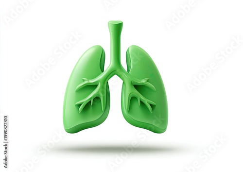 Smooth green cartoon lungs suspended with a subtle shadow below