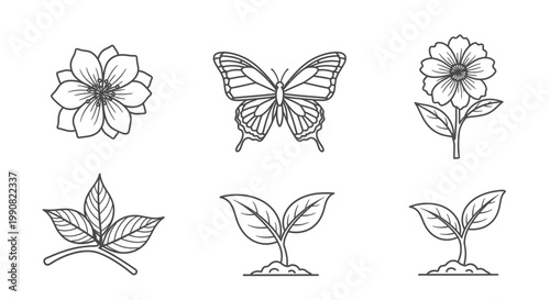 Hand-drawn nature elements vector set: outline illustrations of blooming flowers, graceful butterfly, organic leaves, and growing plant sprouts.