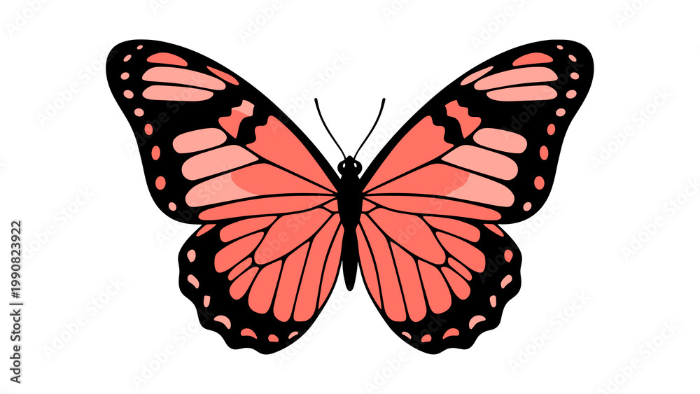 Fototapeta premium vibrant monarch butterfly isolated on white background