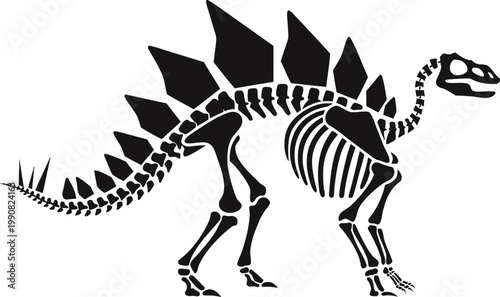 stegosaurus dinosaur skeleton flat design vector illustration