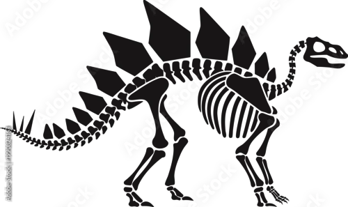 Naklejka stegosaurus dinosaur skeleton flat design vector illustration
