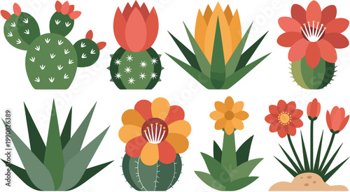 Colorful cartoon cactus and succulent plants with flowers isolated on white background