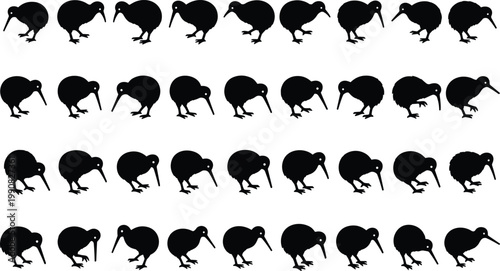 Collection of black kiwi bird silhouettes in various poses isolated on white background
