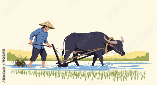Traditional Asian farmer wearing a conical hat plowing a flooded rice field with a water buffalo in a rural landscape.