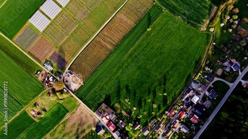 aerial farmland with long shadows