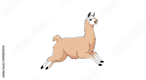 Energetic beige llama running across a white background with an open mouth as if vocalizing or showing excitement.