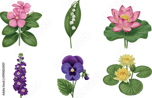 Elegant Botanical Flower Set with Lotus, Pansy, Lily of the Valley, and Delphinium for Floral, Nature, and Garden Design Projects
