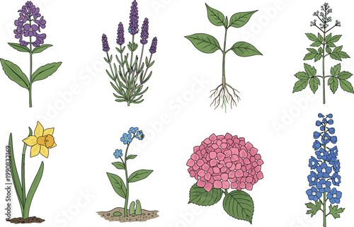 Hand Drawn Botanical Flower and Plant Icon Set with Lavender, Hydrangea, Daffodil, and Wildflowers for Nature and Garden Designs