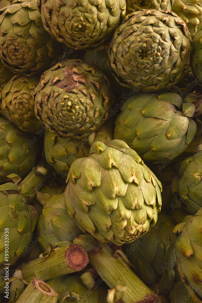 Fototapeta premium Fresh green artichokes showing healthy organic produce