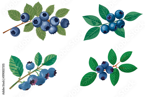 Ripe blueberries flat design illustration isolated on transparent background