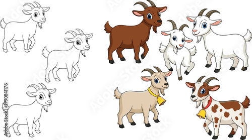 Cartoon goat character design process with sketch outlines and colored versions farm animal vector illustration set isolated