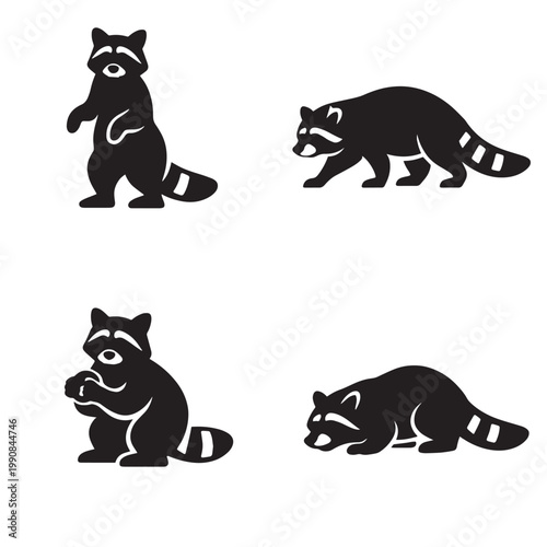Four raccoon silhouette icons showing upright walking sitting and crouching sniffing poses in simple black design