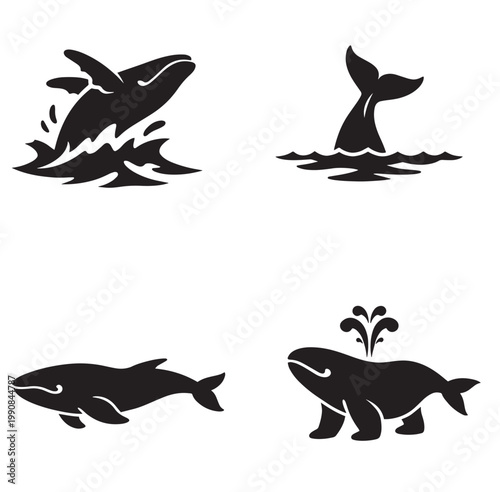 Four whale silhouette icons showing breaching tail fin swimming and blowhole spout poses in simple black design