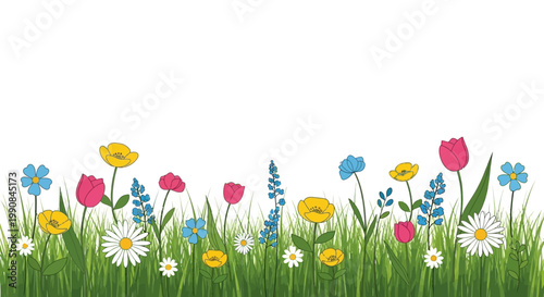 Colorful vector illustration of a lush spring meadow filled with vibrant flowers and tall green grass, set against a clean white background, creating a cheerful and refreshing design