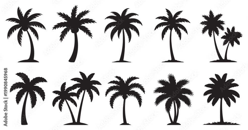 Fototapeta premium Set of exotic palm tree silhouettes, black plant vector icons for nature and travel design. vector illustration eps 10