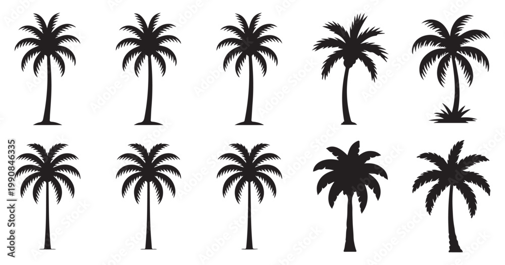Fototapeta premium Set of palm tree silhouettes, tropical vector elements for summer beach design and vacation. vector illustration eps 10