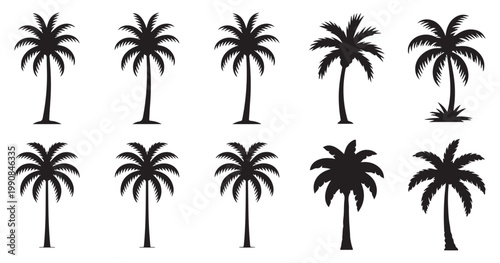 Set of palm tree silhouettes, tropical vector elements for summer beach design and vacation. vector illustration eps 10