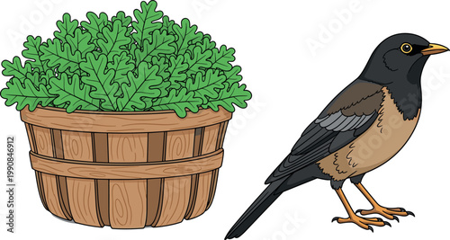 Hand Drawn Style Herb Plant in Wooden Basket and Common Myna Bird Isolated on White Background for Nature, Garden, and Wildlife Designs