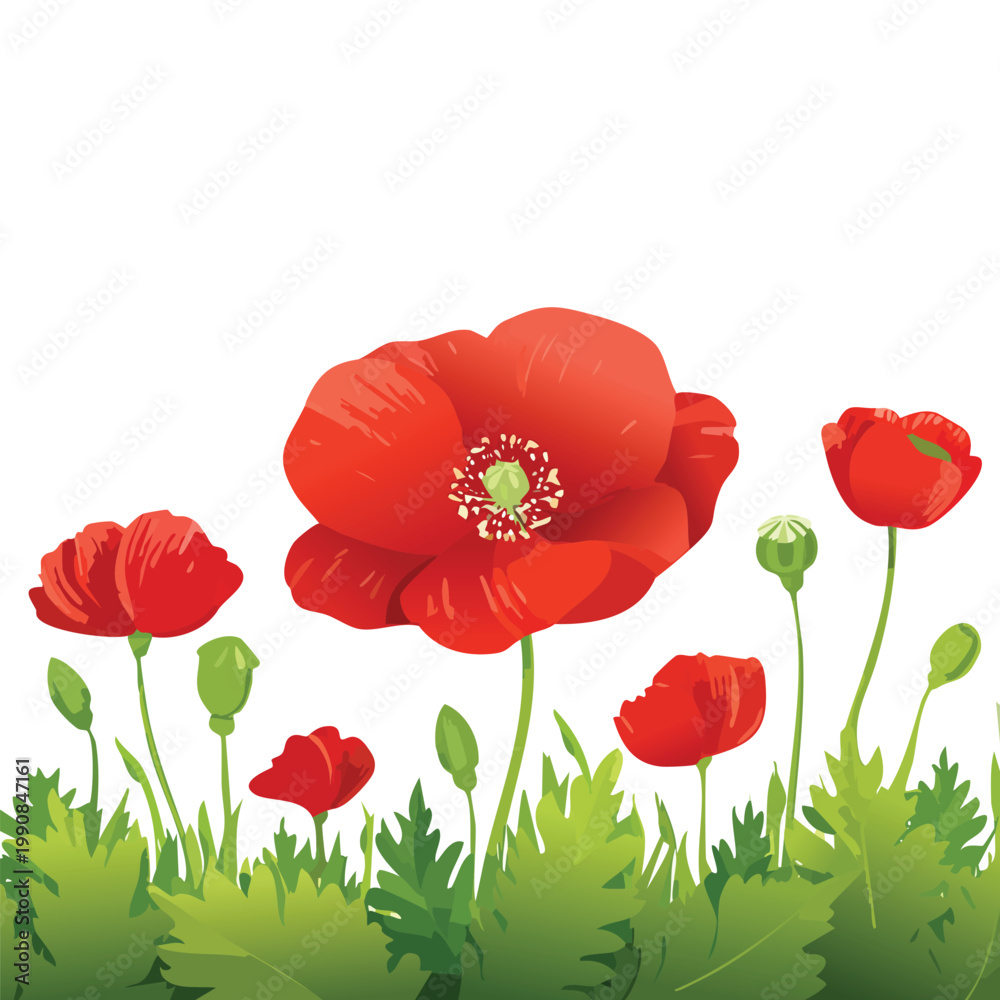 Naklejka premium Vibrant red poppy flowers blooming against a white background