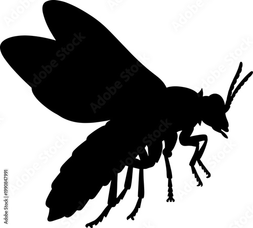 Honey bee silhouette hovering in mid-air flight