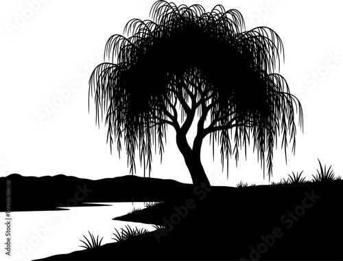 Weeping willow tree silhouette standing beside a riverbank
