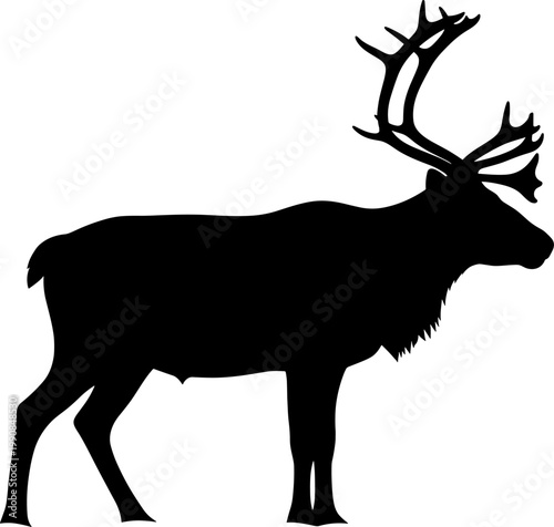 Wild reindeer silhouette standing in a profile view