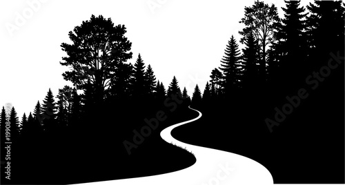 Winding path or road through a dark forest silhouette