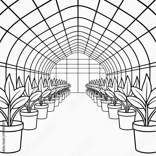 Greenhouse interior with rows of potted plants and arched ceiling