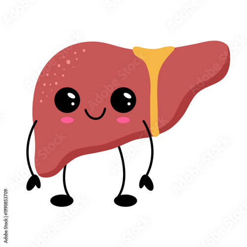 Cute kawaii liver with smile