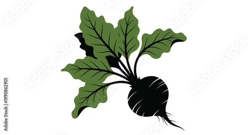 A stylized illustration of a beetroot with dark roots and vibrant leaves