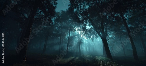 Mysterious forest landscape with trees and atmospheric light and shadows