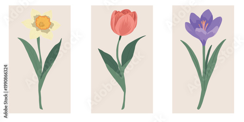 Set of three minimalist botanical posters featuring tulip, daffodil and crocus flowers in soft pastel tones.