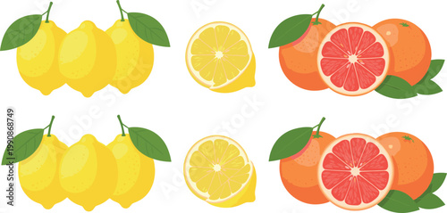 Fresh Lemons and Grapefruits with Sliced Fruit, Citrus Fruits for Healthy Eating and Juices, Vitamin C Rich Fruits Illustration
