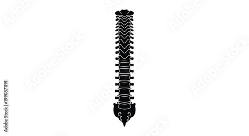 Black silhouette of a human spinal column against a white background
